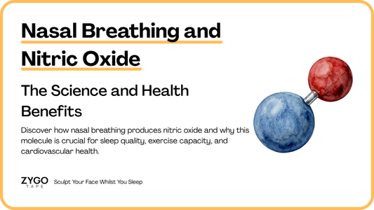 Nasal Breathing Nitric Oxide: The Science and Health Benefits